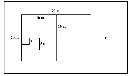 Gambar 4 Bentuk jalur metode transek 
