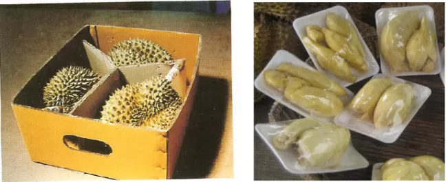 Gambar : Pengemasan Buah Durian 3.7. Penyimpanan