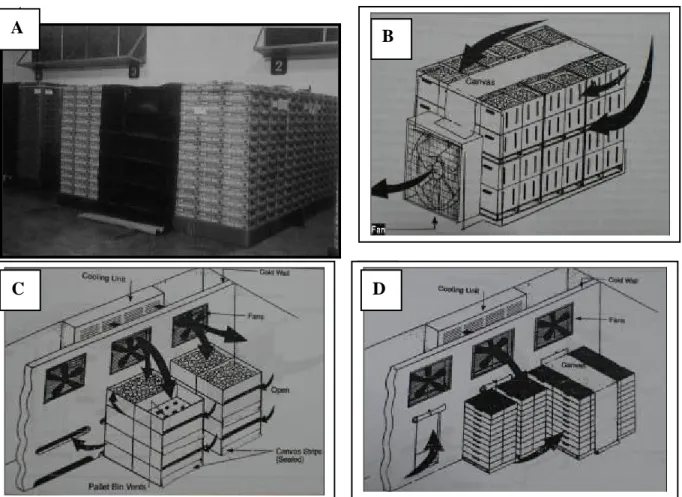 Figure 5.4  Forced air cooling dengan system tunnel (A and B), serpentine (C) dan cold wall (D)  