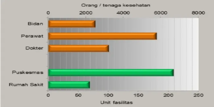 Tabel 2.7Statistik Kesehatan di Provinsi Banten