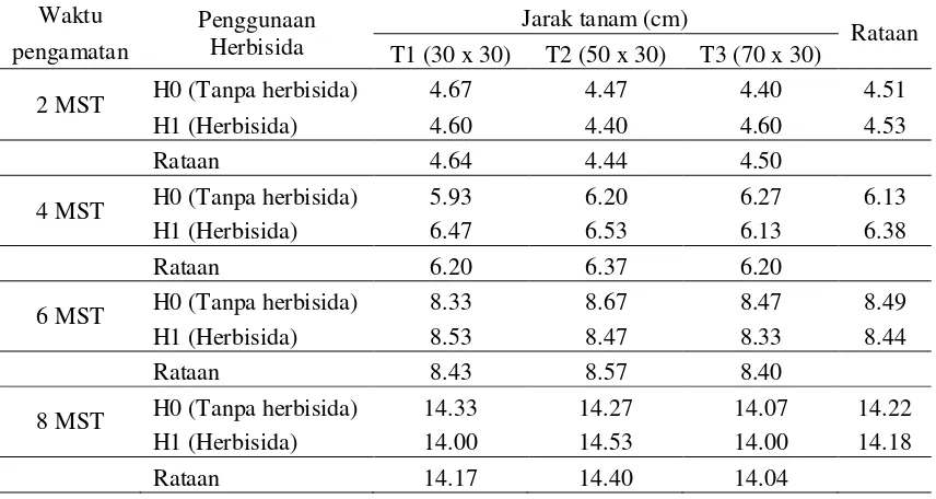 Tabel 2. Rataan jumlah daun umur 2, 4, 6, 8, MST (helai) pada penggunaan herbisida dan berbagai jarak tanam 