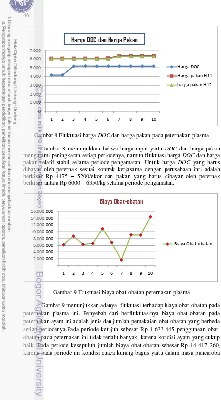 Gambar 8 Fluktuasi harga DOC dan harga pakan pada peternakan plasma 