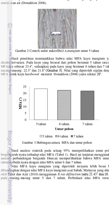 Gambar 2 Contoh sudut mikrofibril         A.mangium umur 5 tahun 