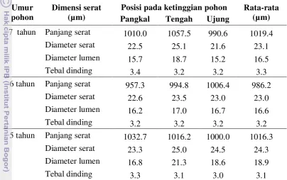 Tabel 3 Dimensi serat kayu  pada tiga umur pohon yang berbeda 
