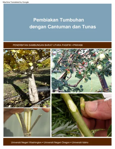 Pembiakan Tumbuhan Dengan Cantuman Dan Tunas