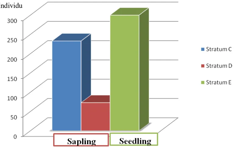 Gambar 2. Stratifikasi Seedling dan Sapling Berdasarkan Ketinggian Pohon  