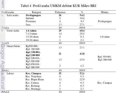 Tabel 4  Profil usaha UMKM debitur KUR Mikro BRI 