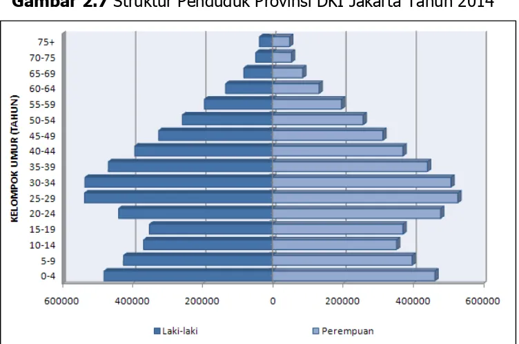 Gambar 2.7 Struktur Penduduk Provinsi DKI Jakarta Tahun 2014 