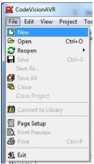 Gambar 4.2 Tampilan Create New File 