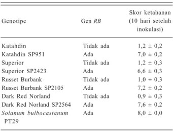 Gambar 2.  Nilai AUDPC (4 −9 hari setelah inokulasi) klon-klon kentang transgenik Dark Red Norland dan nontransgenik pada umur 4, 8, dan 12 hari setelah tanam, yang diinokulasi dengan Phytophthora infestans US8 (Millett et al
