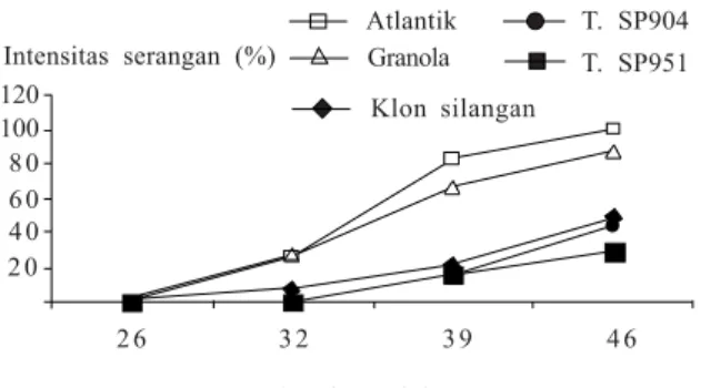 Gambar 6. Intensitas serangan penyakit hawar daun Phytophthora infestans pada klon-klon silangan kentang transgenik dengan nontransgenik di Lapangan Uji Terbatas, Lembang (Herman et al