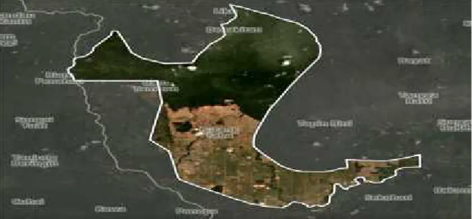 Gambar IV. Peta Wilayah Adat Masyarakat Desa Kinipan Kecamatan Batang Kawa yang Telah Rusak