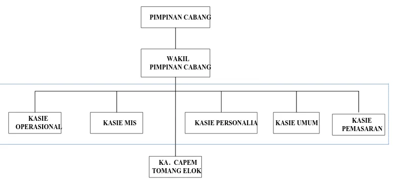 Gambar 2.1. Struktur Organisasi PT. BPD Aceh Cabang Sumatera Utara 