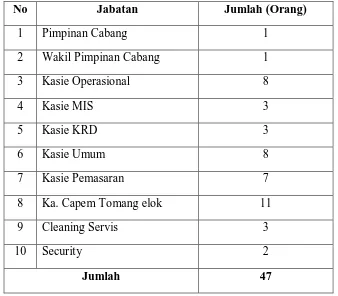 Tabel 2.1. Jumlah Tenaga Kerja pada PT. BPD Aceh Cabang Sumatera Utara 
