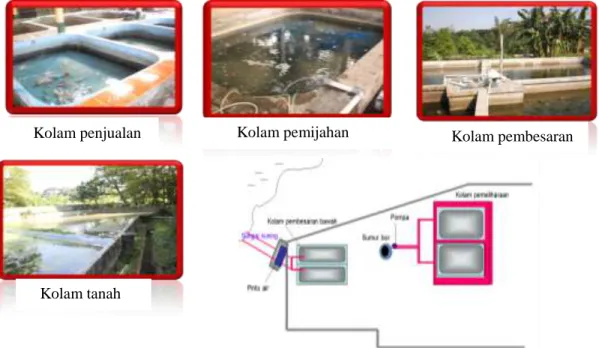 Gambar 1. Wadah dan Layout 