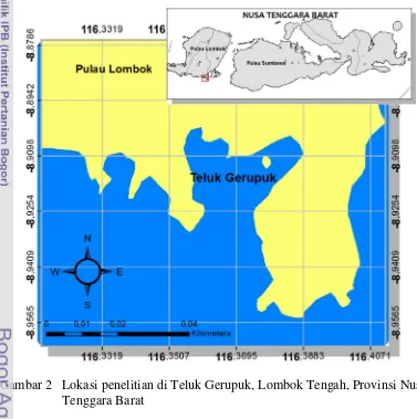 Gambar 2 Lokasi penelitian di Teluk Gerupuk, Lombok Tengah, Provinsi Nusa  