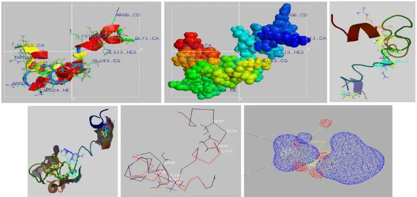 Gambar 5.  Visualisasi molekul polipeptida translasi dari sekuens DNA pada lokus 507..699