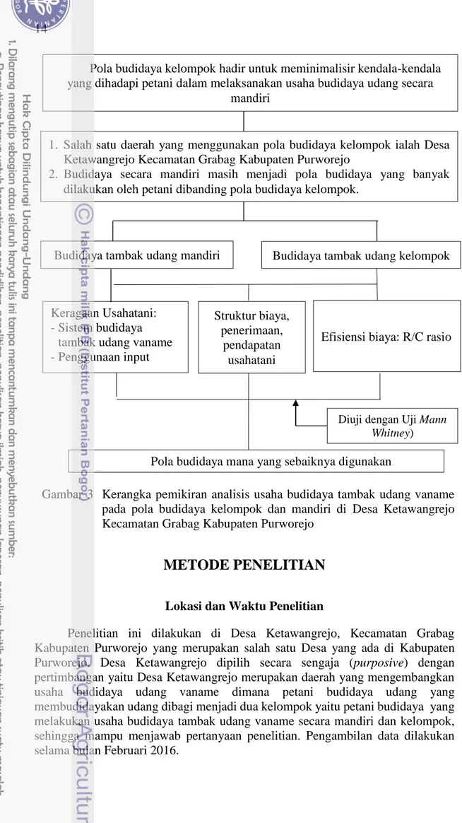 Gambar 3   Kerangka pemikiran analisis usaha budidaya tambak udang vaname  pada  pola  budidaya  kelompok  dan  mandiri  di  Desa  Ketawangrejo  Kecamatan Grabag Kabupaten Purworejo 
