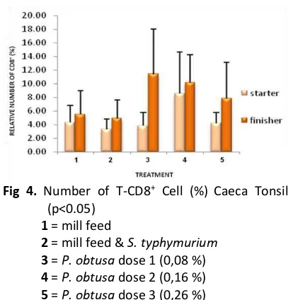 Fig 4.  Number of T-CD8+ Cell (%) Caeca Tonsil 