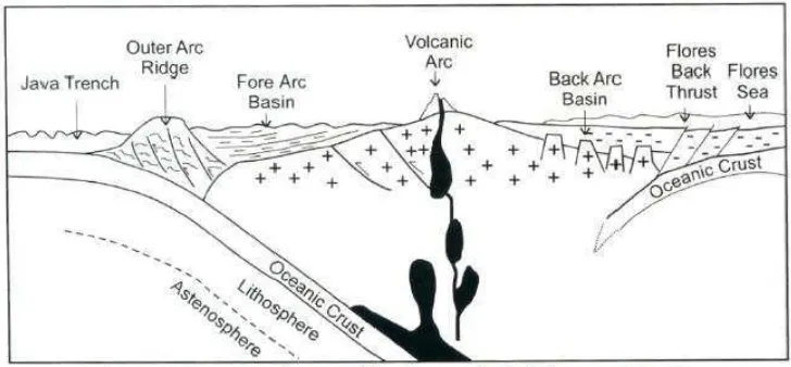 Gambar 3.3 Tectonic-structural Kepulauan Sunda Kecil (Purwanto, C., 2012). 