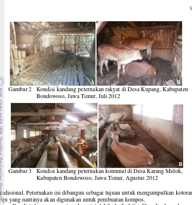 Gambar 2 Kondisi kandang peternakan rakyat di Desa Kupang, Kabupaten 