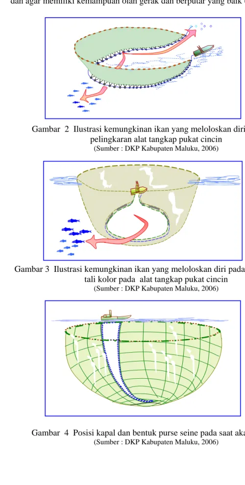 Gambar  2  Ilustrasi kemungkinan ikan yang meloloskan diri pada saat  pelingkaran alat tangkap pukat cincin 