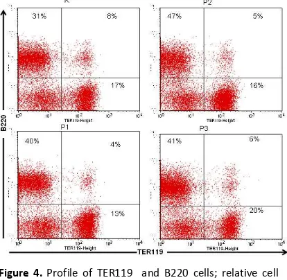 Figure 5. Profile of TER119 and LA-4 cells; relative cell number of TER119VLA+ and ER119+VLA-4+ cells bone marrow