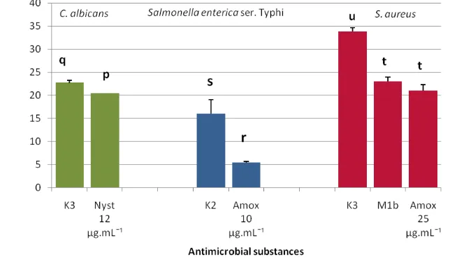 Figure 2. Antimicrobial Activity of Endophyte Bacteria Turmeric Rhizomes towards the Pathogenic Test Microorganism 