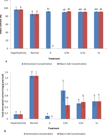 Figure 1.  Comparison of water content and chlorophyll content in patchouli shoots experiencing hyperhydricity, normal, and after treatment with the concentration of ammonium nitrate and salt macro on MS medium