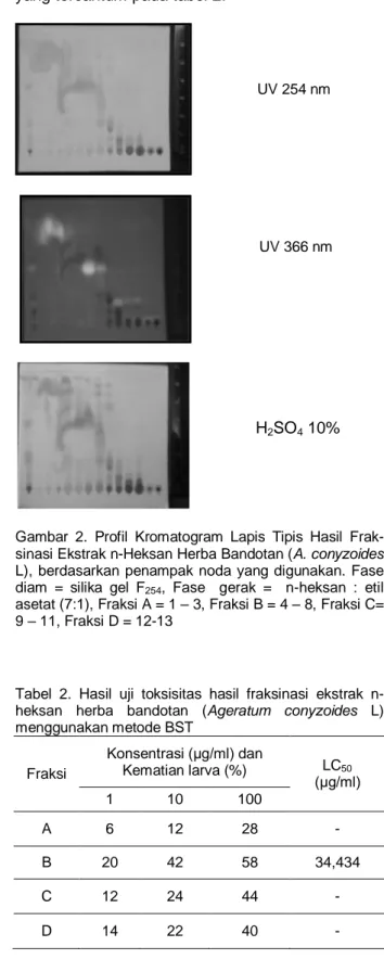 Gambar  2.  Profil  Kromatogram  Lapis  Tipis  Hasil  Frak- Frak-sinasi Ekstrak n-Heksan Herba Bandotan (A