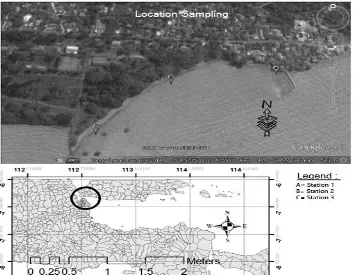 Figure 1. Research Location at the Coast of Madura Strait 