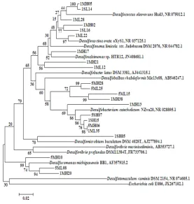 Figure 5. Neighbor-joining tree of Alphaproteobacteria clones based on partial 16S rRNA gene sequences 