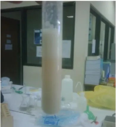Gambar 4. Uji Saponin 
