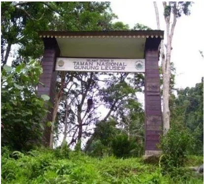 Gambar 3.3 Gerbang Pusat Pengamatan Orangutan Sumatera (PPOS) di TNGL 