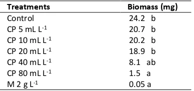 Figure 1. P. palmivora colonies diameter (circled in red) at 6 day after inoculation  CP: Calcium polysulfide; M: Mancozeb 