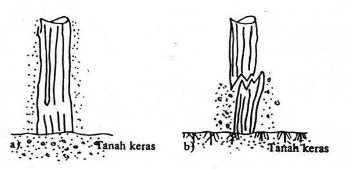 Gambar 2.3 Tiang pancang kayu (Sardjono, 1991) 