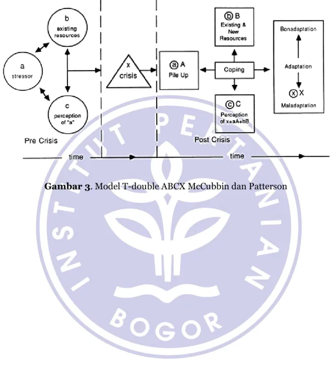 Gambar 3. Model T-double ABCX McCubbin dan Patterson 