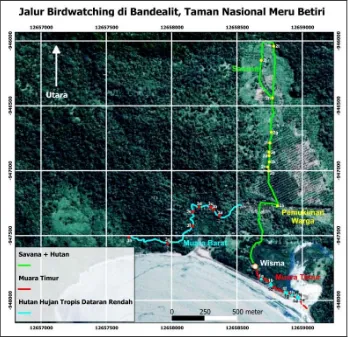 Gambar 1. Peta jalur birdwatching di Bandealit, Taman Nasional Meru Betiri