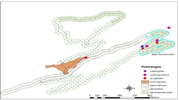 Gambar 5. Peta Jalur pengamatan dan Zona konservasi di desa Ngadas 