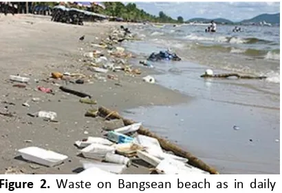 Figure 2. Waste on Bangsean beach as in daily 