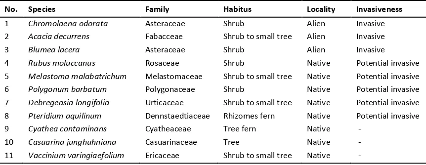 Table 1. List of plant species abundantly found along the corridor of Kawah Ijen Nature Tourism Park 