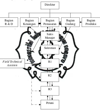 Gambar 6. Struktur Organisasi CV. Multi Global Agrindo 