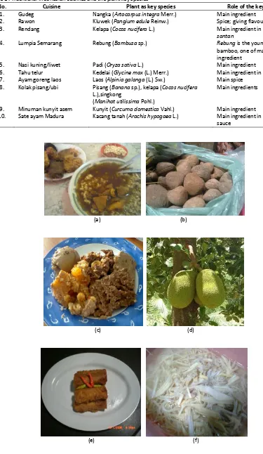 Table 1 . Traditional Indonesian cuisines and the plant key species 