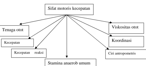 Gambar 1. Skema Faktor-Faktor yang Mempengaruhi Prestasi Lari Cepat                       100 Meter (Jonat et al., 1987: 56) 