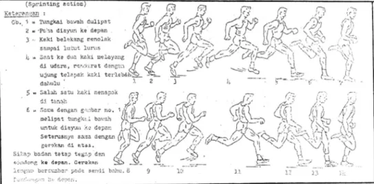 Gambar 5. Teknik Lari Cepat 100 Meter              (Tamsir Riyadi, 1985:30) 
