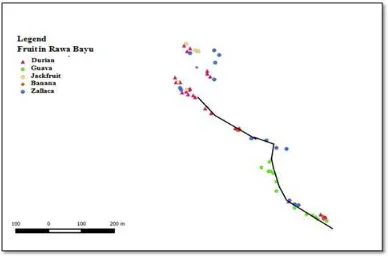 Figure 4. Distribution Map of Fruit Plants around Rawa Bayu 