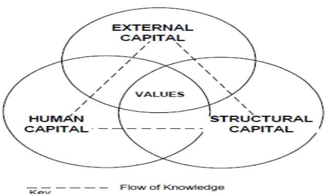 Gambar 1: Model Intellectual capital Terkenal (Allee, 1999) 