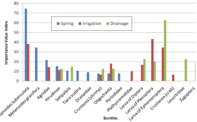 Figure 2. Important Value of Macrobenthic in three types of drainage at the Ngenep Village 