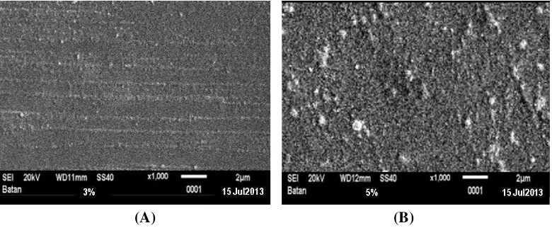Gambar 7  Hasil analisis SEM komposit chitosan-gliserol-PVA 