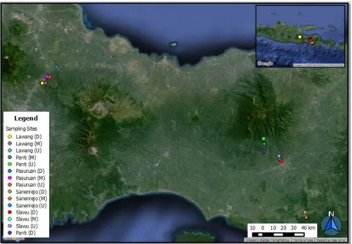 Figure 1. Location Sites in Regency of Jember, Pasuruan and Malang (15 sampling stations in five research sites) 